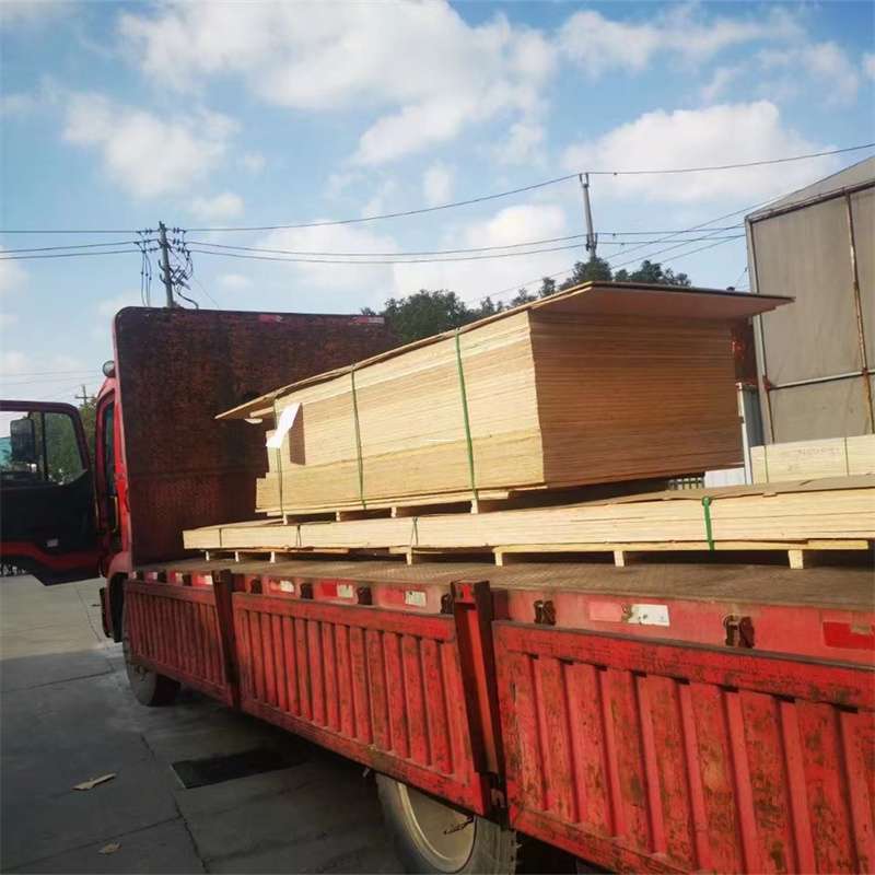 黑龙江哈尔滨阿城至塔城货运专线，一站式物流服务助您成功